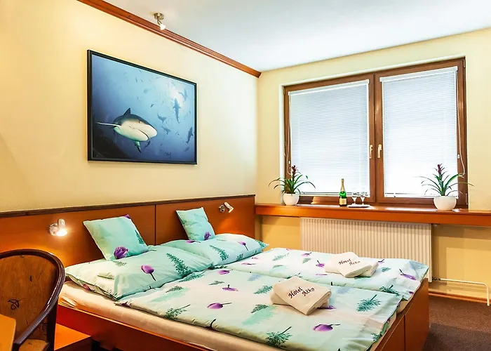 Hotel Acko